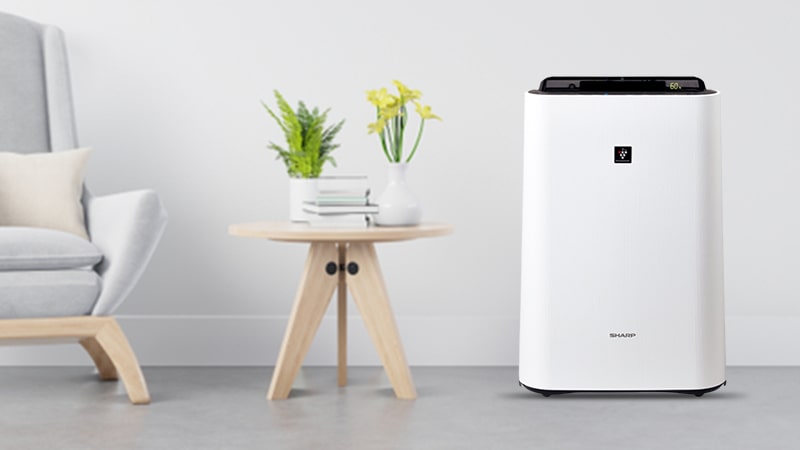 máy lọc không khí