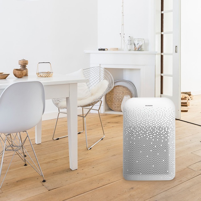 Máy lọc không khí ion